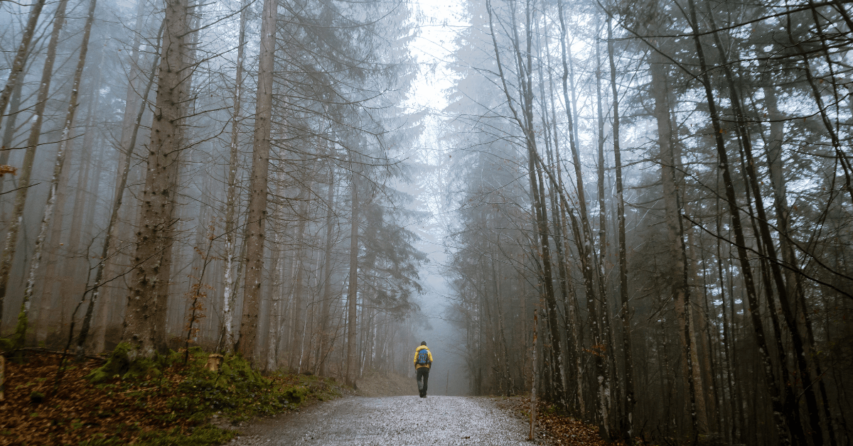 single person in a yellow jacket on a path in the misty woods