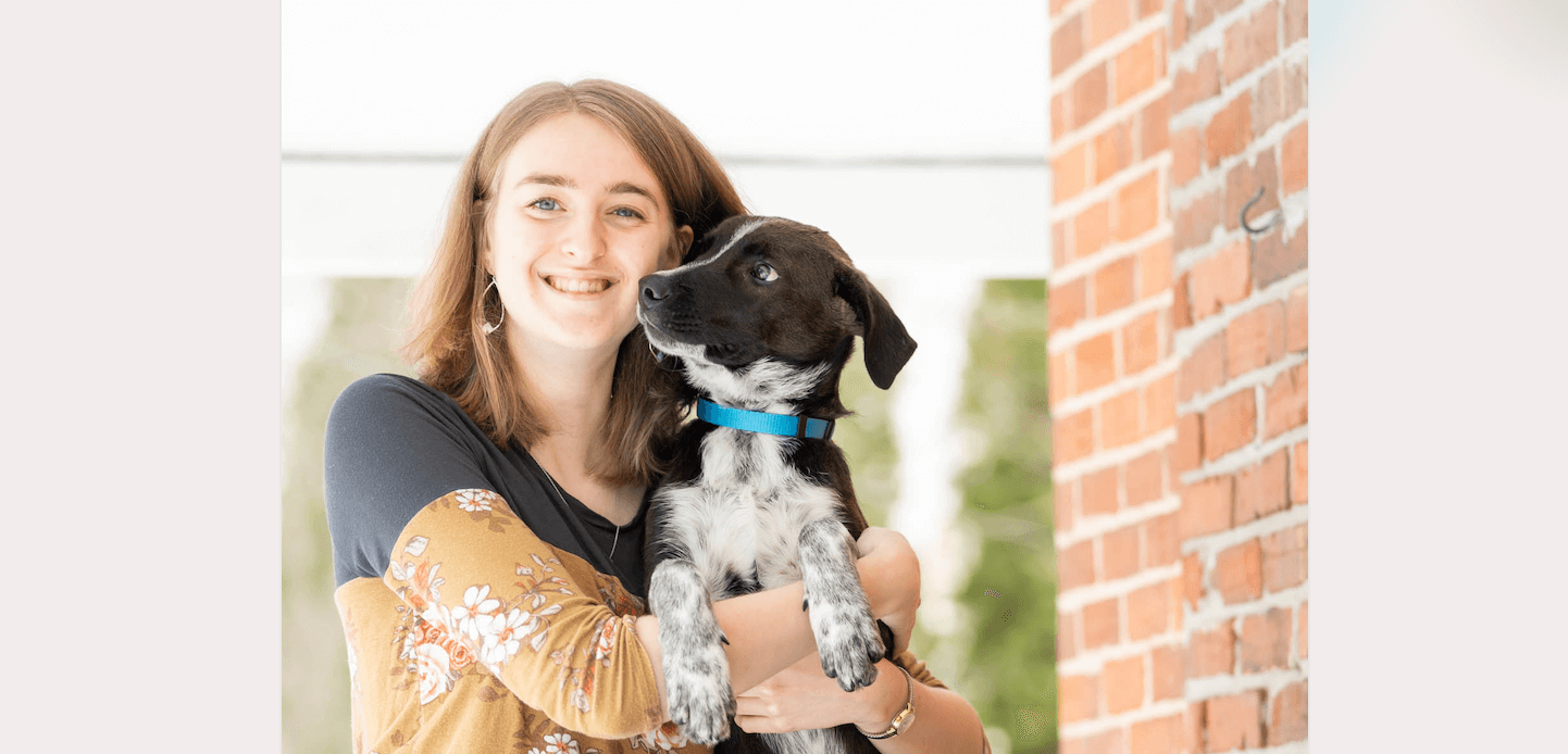 Service Dogs – Temperament, Training, and a Goose Update