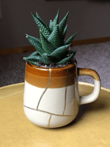 A small brown mug cracked in several places and restored with gold. In the mug is a little succulent. 